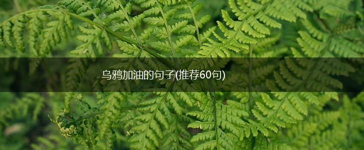 乌鸦加油的句子(推荐60句),第1张