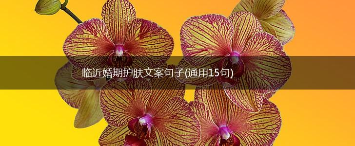 临近婚期护肤文案句子(通用15句),第1张