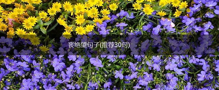 丧绝望句子(推荐30句),第1张