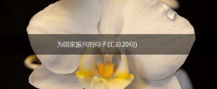 为国家振兴的句子(汇总20句),第1张