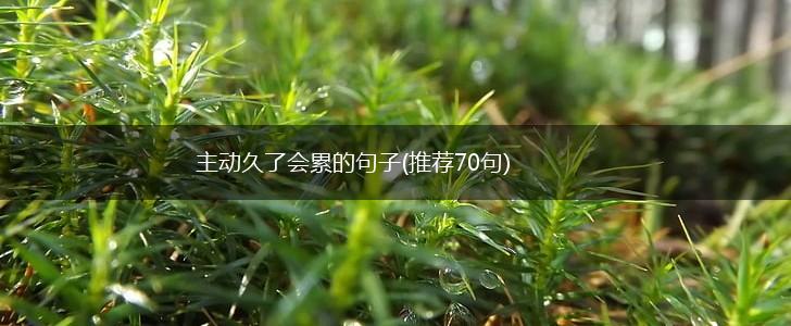主动久了会累的句子(推荐70句),第1张