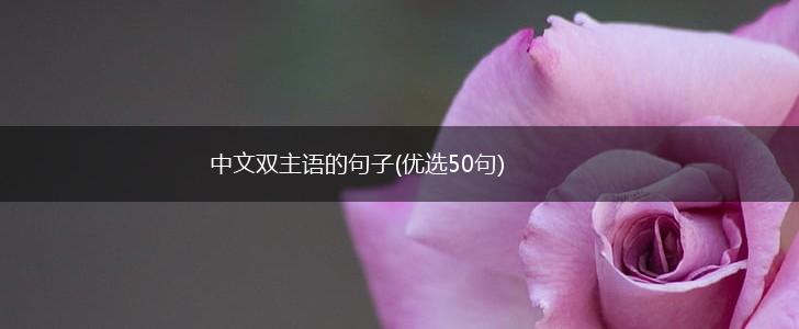 中文双主语的句子(优选50句),第1张