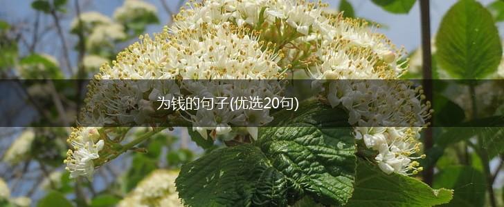 为钱的句子(优选20句),第1张