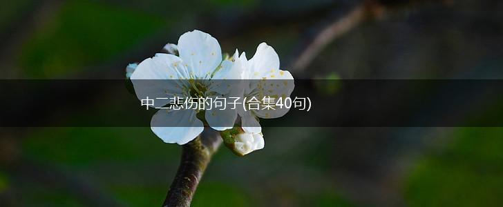 中二悲伤的句子(合集40句),第1张