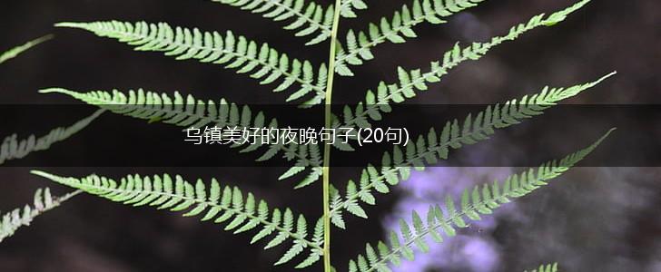乌镇美好的夜晚句子(20句),第1张