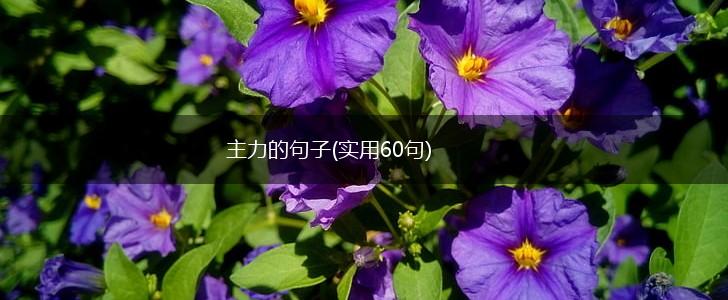 主力的句子(实用60句),第1张