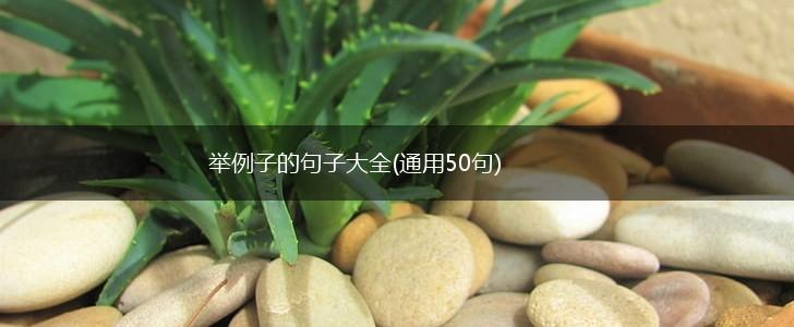 举例子的句子大全(通用50句),第1张