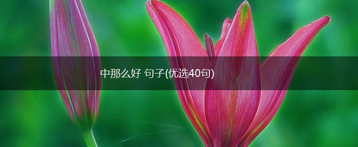 中那么好 句子(优选40句),第1张