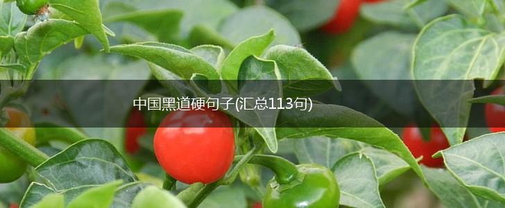 中国黑道硬句子(汇总113句),第1张