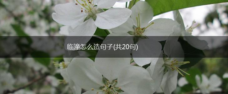临潼怎么造句子(共20句),第1张