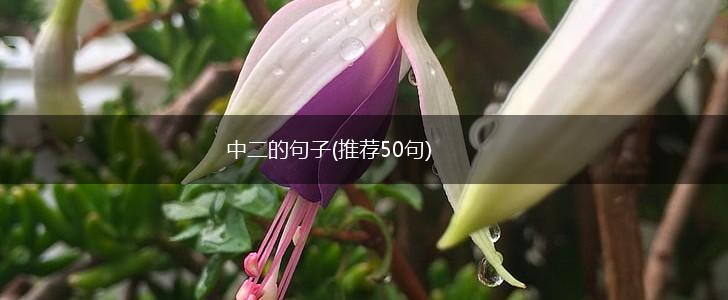 中二的句子(推荐50句),第1张