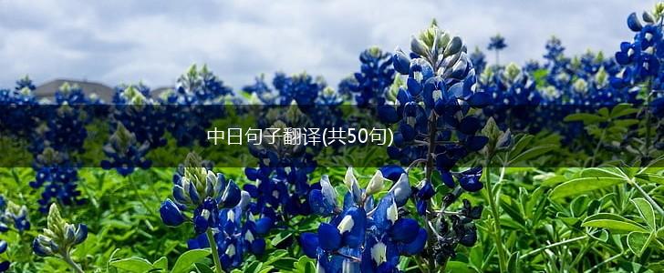 中日句子翻译(共50句),第1张