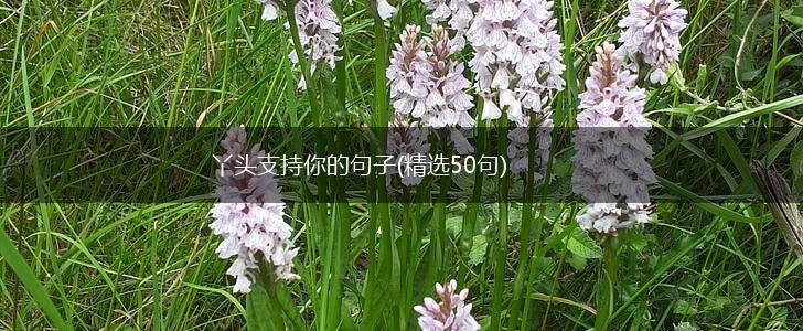 丫头支持你的句子(精选50句),第1张