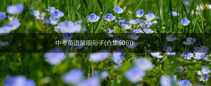 中考英语常用句子(合集60句),第1张