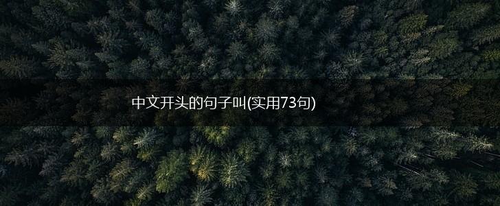 中文开头的句子叫(实用73句),第1张