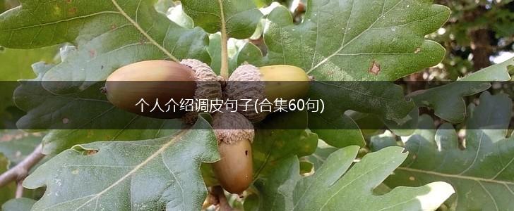 个人介绍调皮句子(合集60句),第1张