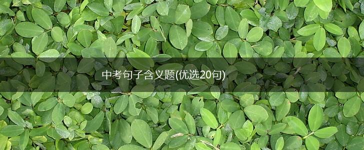 中考句子含义题(优选20句),第1张