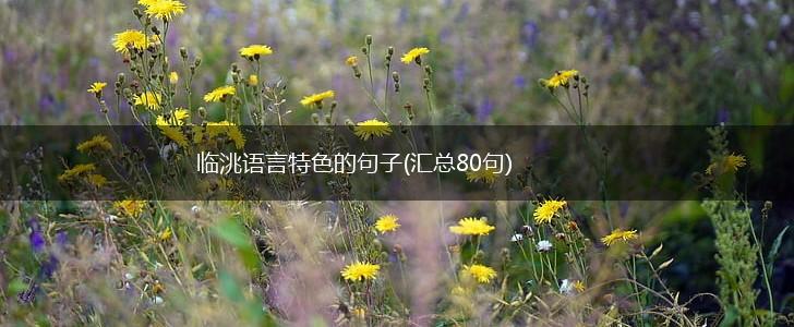 临洮语言特色的句子(汇总80句),第1张