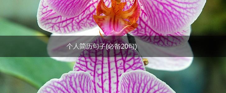 个人简历句子(必备20句),第1张