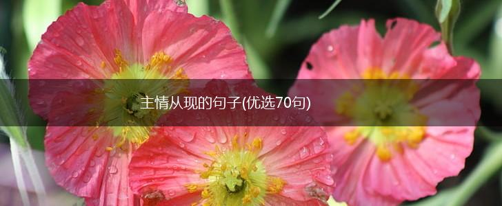 主情从现的句子(优选70句),第1张