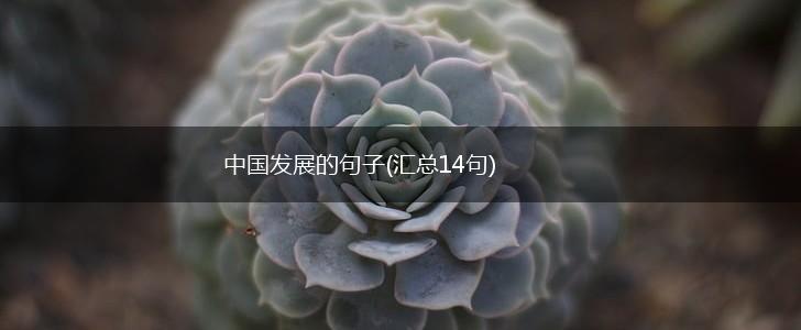 中国发展的句子(汇总14句),第1张