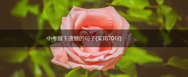 中考留下遗憾的句子(实用70句),第1张