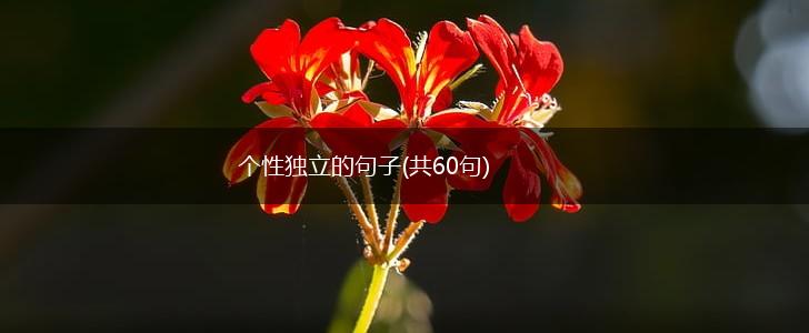 个性独立的句子(共60句),第1张