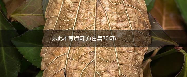 乐此不疲造句子(合集70句),第1张