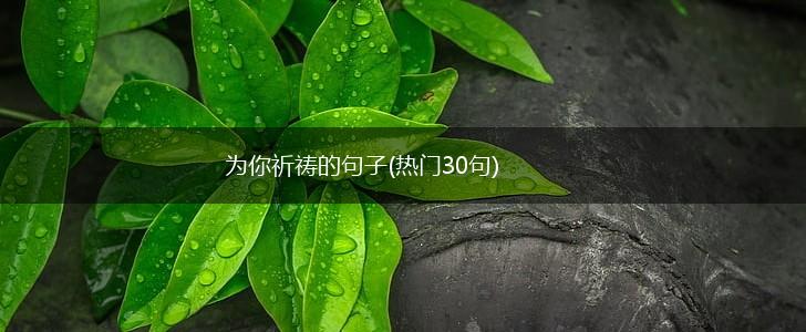 为你祈祷的句子(热门30句),第1张