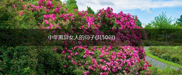 中年离异女人的句子(共50句),第1张