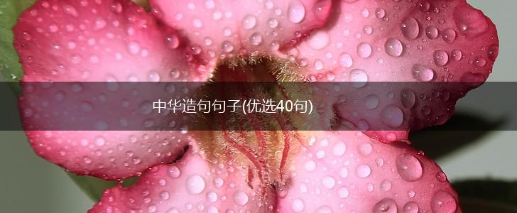 中华造句句子(优选40句),第1张