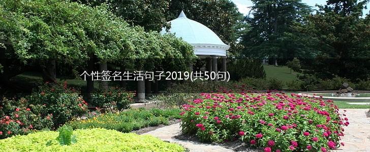 个性签名生活句子2019(共50句),第1张