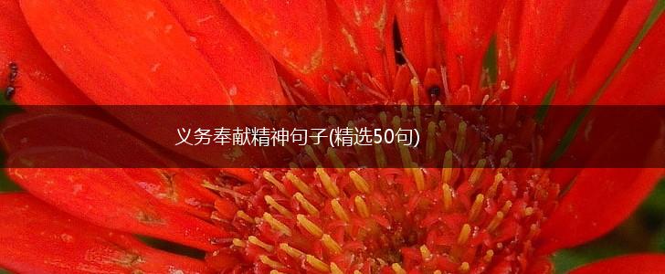 义务奉献精神句子(精选50句),第1张