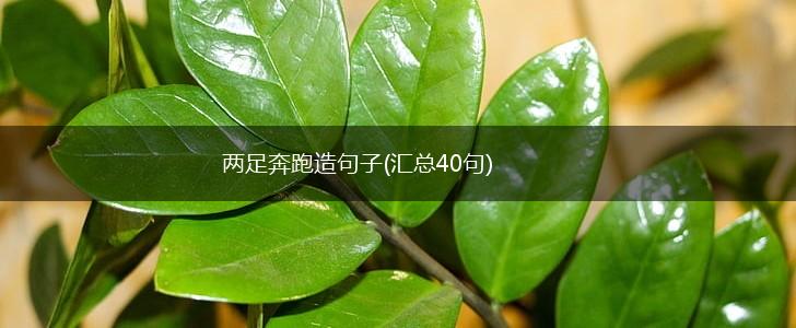 两足奔跑造句子(汇总40句),第1张