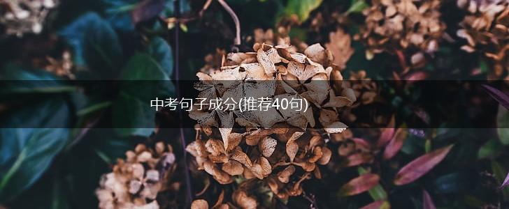 中考句子成分(推荐40句),第1张