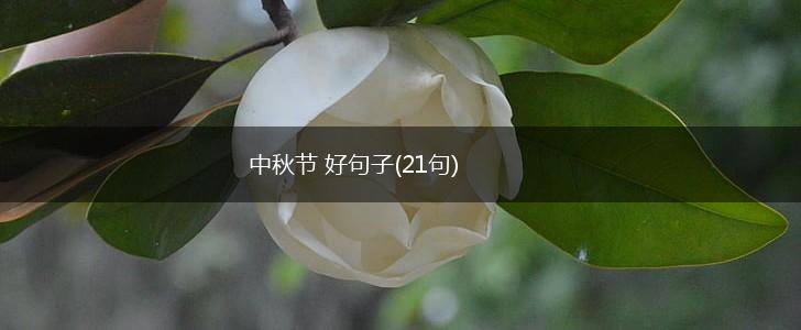 中秋节 好句子(21句),第1张