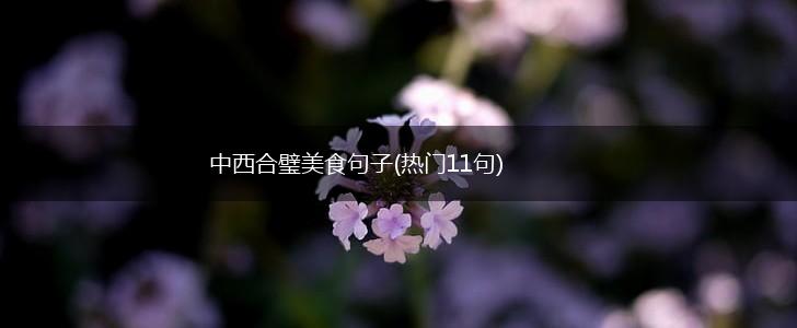 中西合璧美食句子(热门11句),第1张