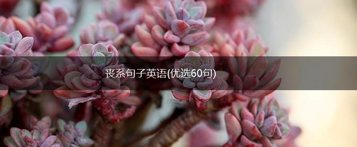 丧系句子英语(优选60句),第1张