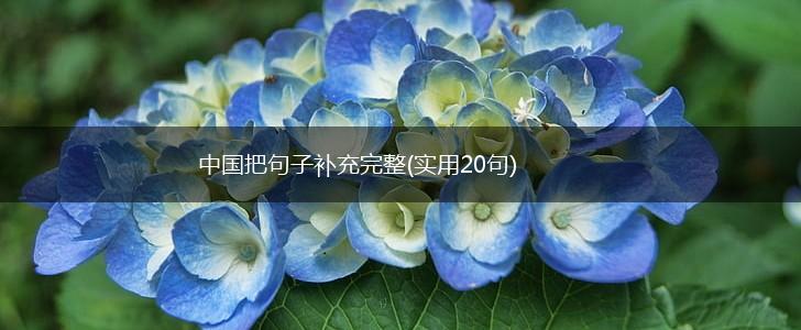 中国把句子补充完整(实用20句),第1张