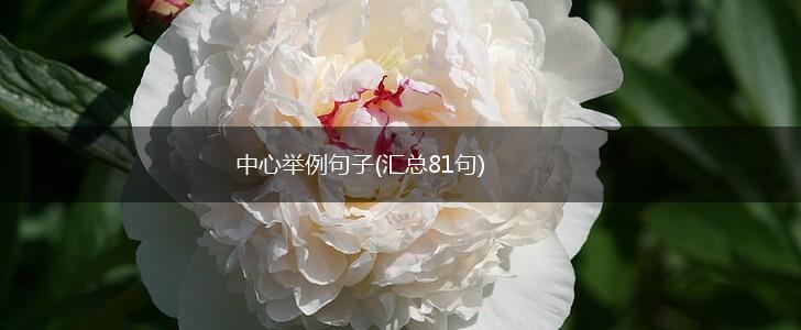 中心举例句子(汇总81句),第1张