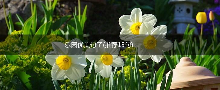 乐园优美句子(推荐15句),第1张