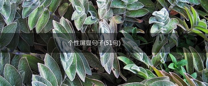 个性屏显句子(51句),第1张