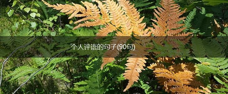个人评语的句子(90句),第1张