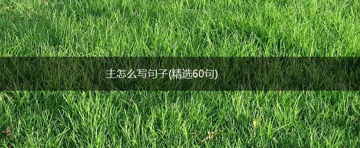 主怎么写句子(精选60句),第1张