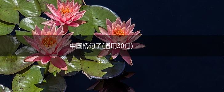 中国桥句子(通用30句),第1张