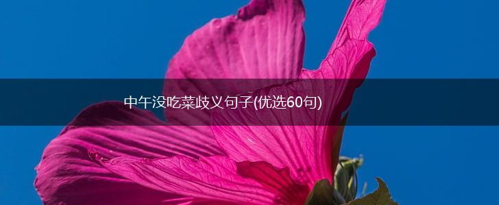中午没吃菜歧义句子(优选60句),第1张