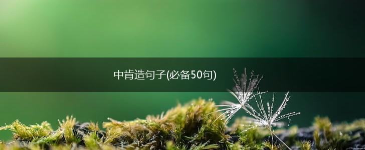 中肯造句子(必备50句),第1张