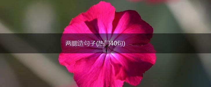 两腮造句子(热门40句),第1张