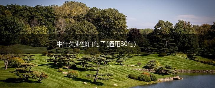 中年失业独白句子(通用30句),第1张