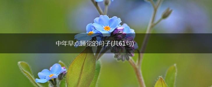 中年早点睡觉的句子(共61句),第1张